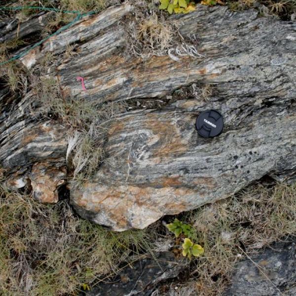 4 deformazione su lamine argillose alternate ad arenacee  neoproterozoico  repparfjord - northern norway 