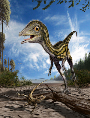 Un dinosauro unico al mondo <em>Scipionyx samniticus</em>, detto 'Ciro', &egrave; un fossile eccezionale. E Pietraroja &egrave; uno scrigno di paleo-biodiversit&agrave; 'ad alta risoluzione'