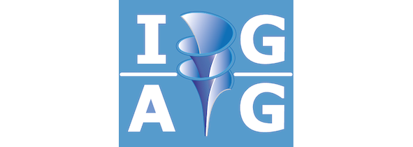 Workshop IGAG Days 2020
