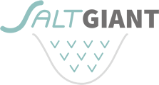 Call for applications, 15 PhD positions ETN SALTGIANT