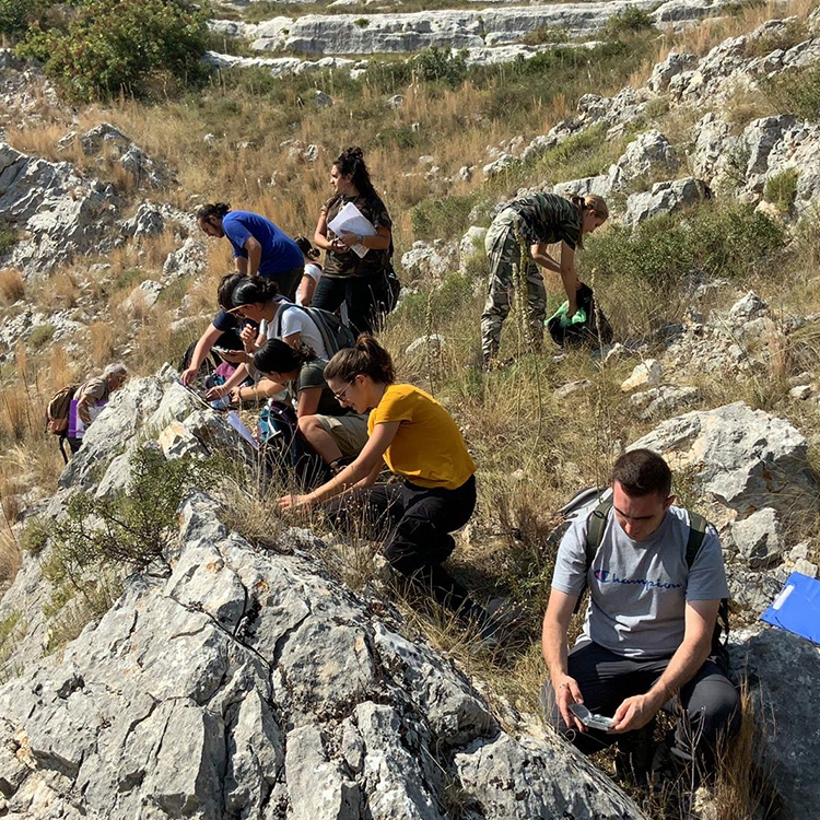 universita bari studenti