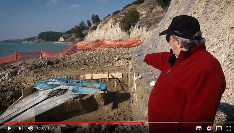 giallo ocra Il mistero del fossile di matera